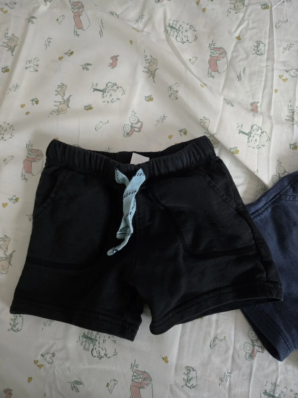 Lot Of 2 Carter's 18M Shorts